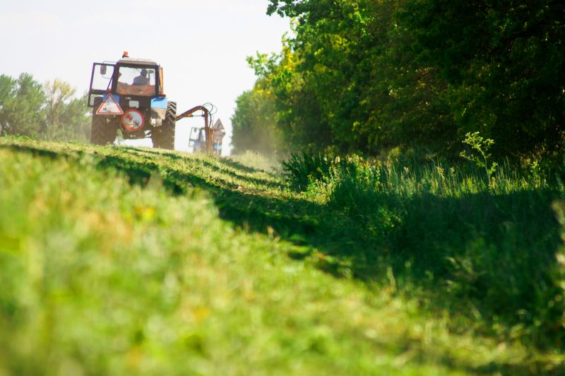 Fence Line Cleaning