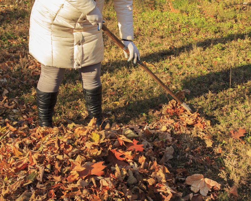 Raking and Bagging Leaves