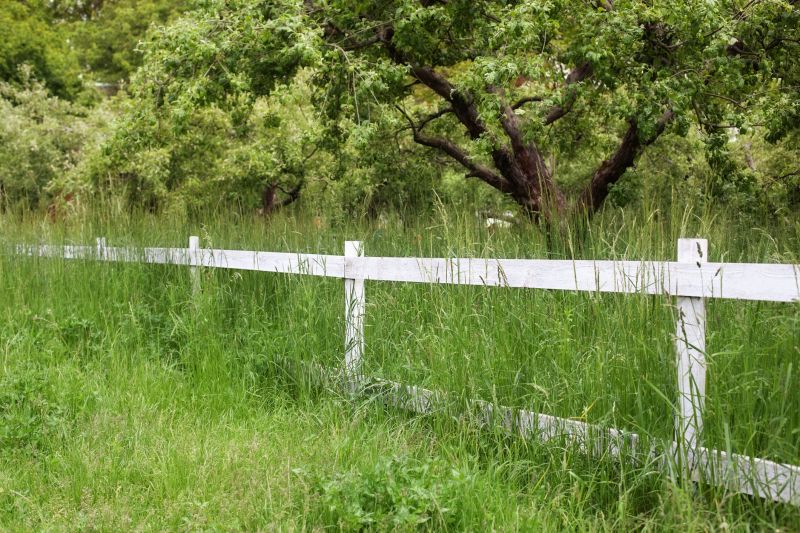 Fence Line Cleaning