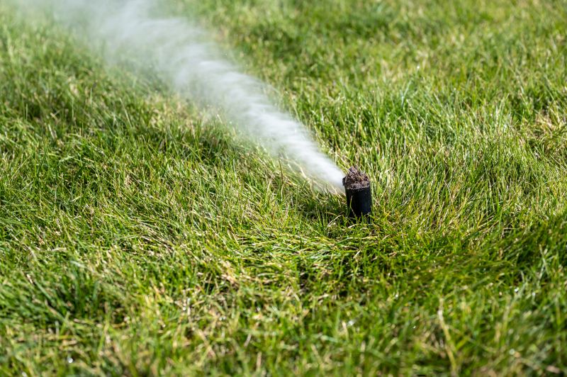 Fall Sprinkler Service