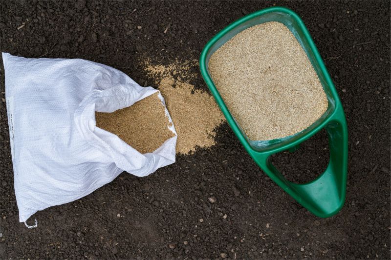 Residential Lawn Seeding in Honolulu, HI