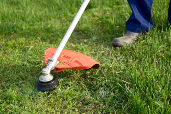 Lawn Weed Whacking